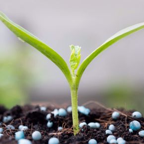 Cuadro para la categoría Abonos y Bionutrientes