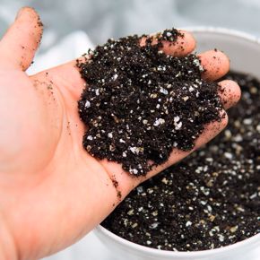 Cuadro para la categoría Sustratos y turbas