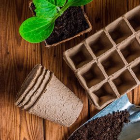 Cuadro para la categoría Accesorios